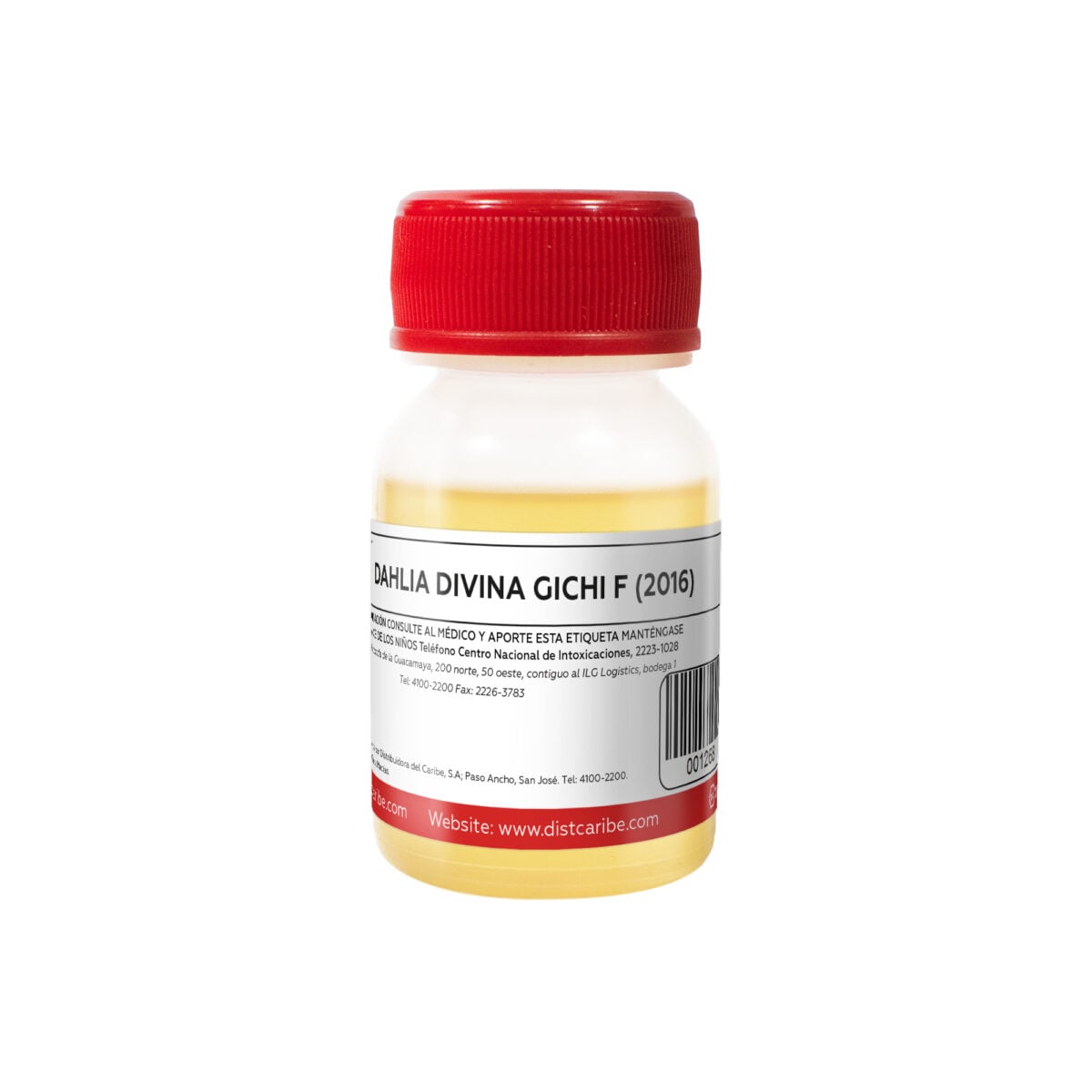 DAHLIA DIVINA GICHI F (2016) ENVASE PLASTICO 1 Oz - Image 2