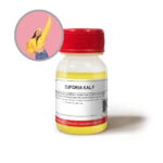 EUFORIA KAL F ENVASE PLASTICO 1 Oz