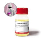 HYPNOSE LONCA F ENVASE PLASTICO 1 Oz