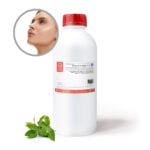 EXTRACTO TE VERDE ENVASE 1 Kg