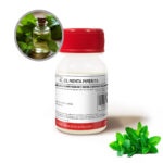 AC. ES. MENTA PIPERITA - 1 Oz