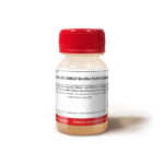 EXTRACTO DE GINKGO BILOBA FARMA EDIBLE - 1 oz - Image 2
