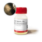 P SPORT RALU H - 1 Oz